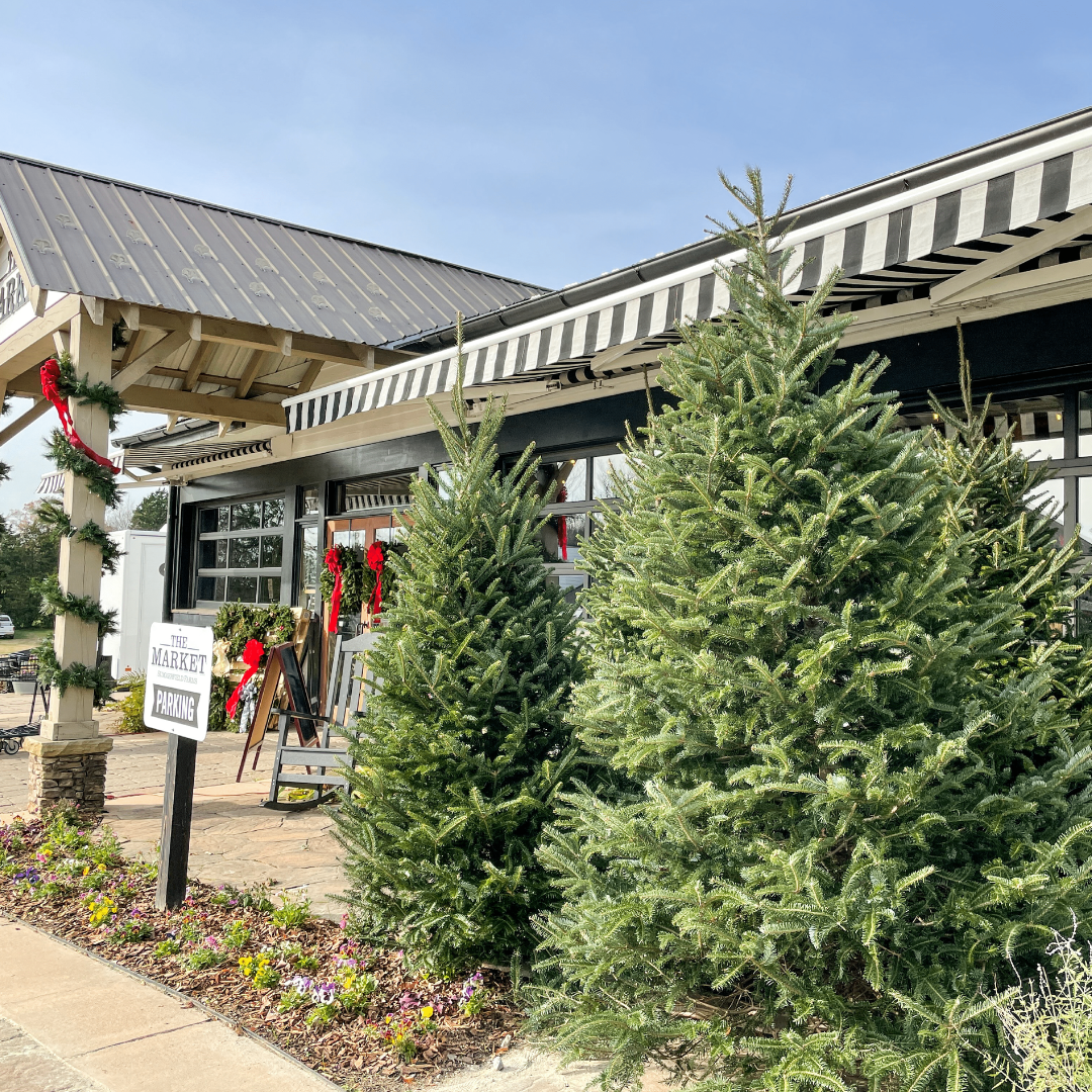 2026 Christmas Trees