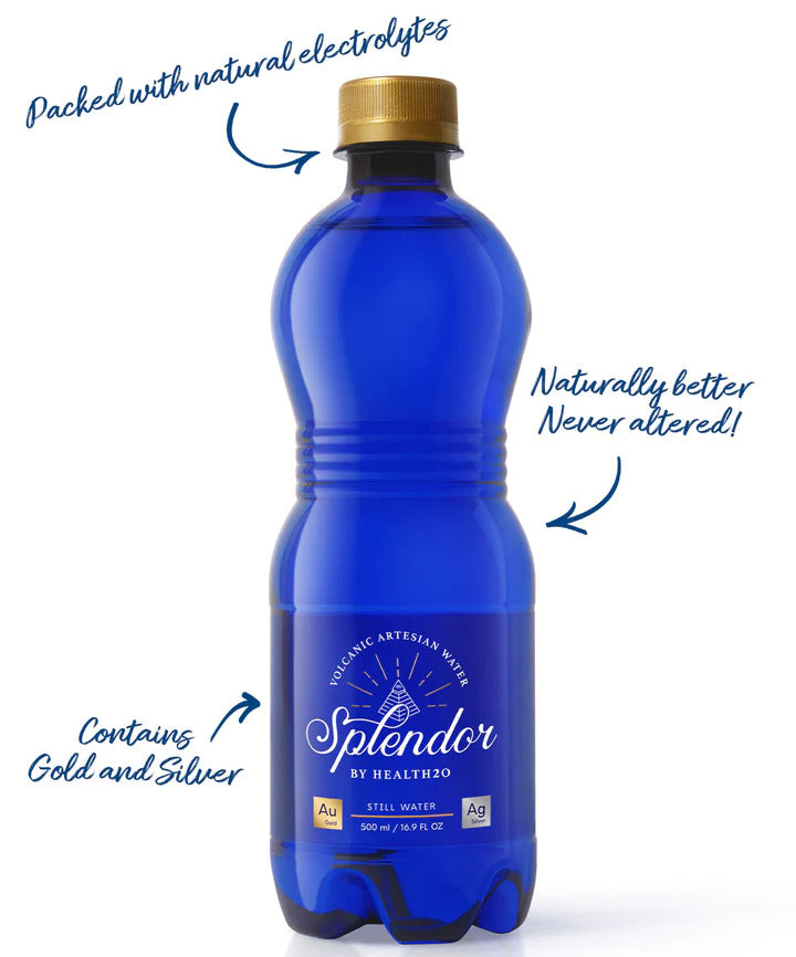 Splendor Case - 500mL