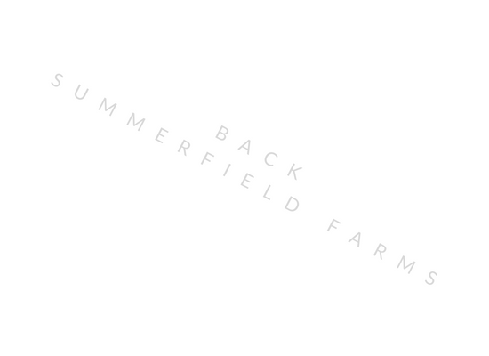 Gold Border Save The Date File