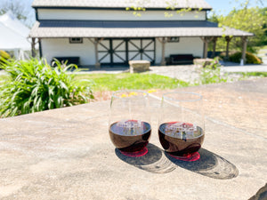 Stemless Wine Glass Duo