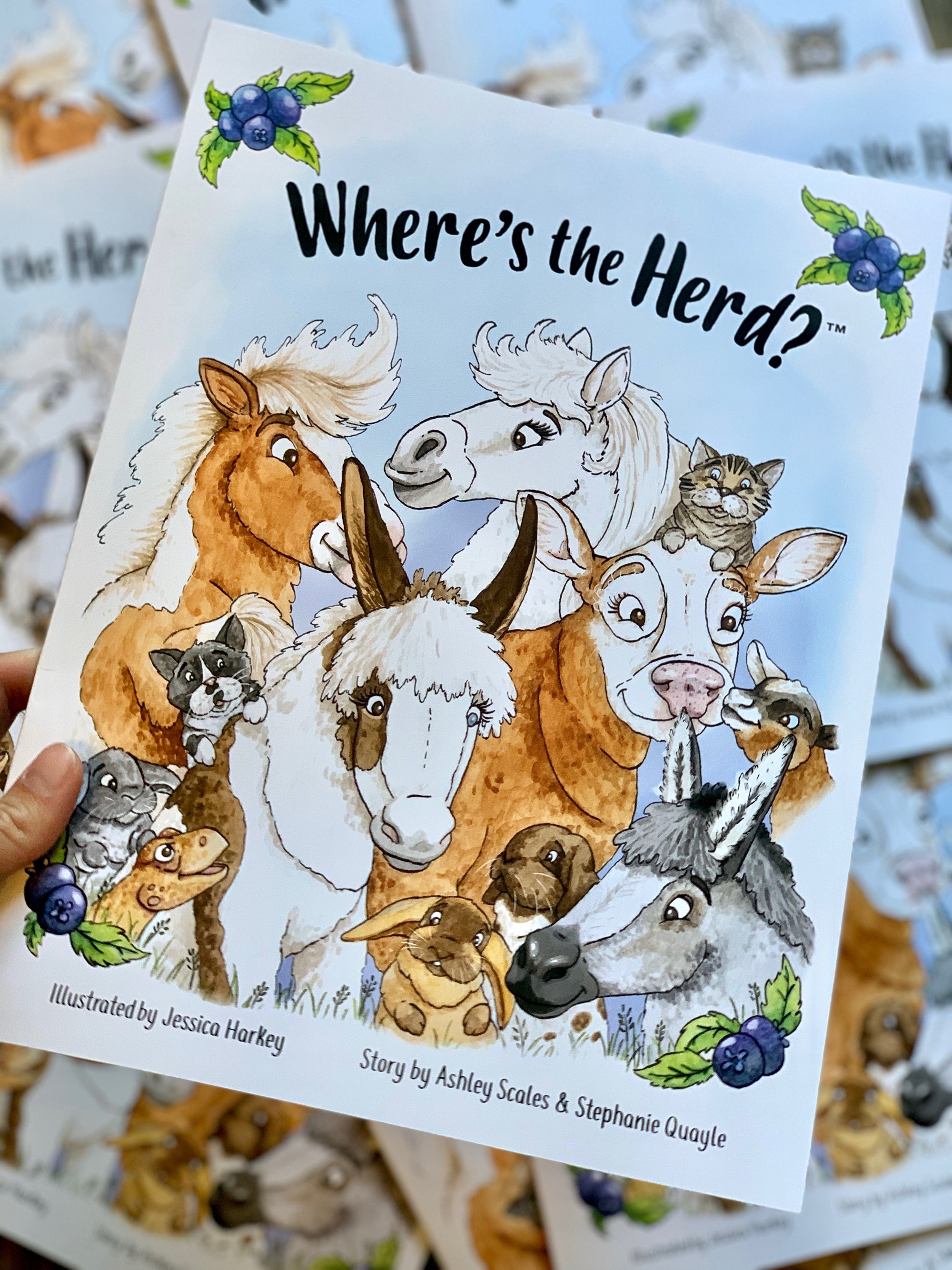 Where's the Herd? Book